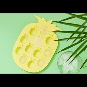NWT Lilly Pulitzer Pineapple Ice Tray